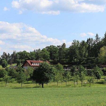 Ubytování pod Haniperkem Vodňany Exterior foto